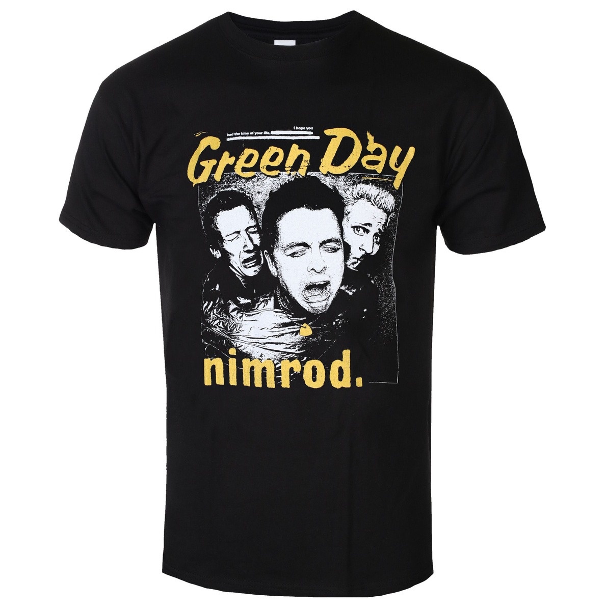 Футболка Green Day с эффектом  – обзор и цена Band Tee Faded 90S